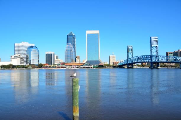 istock Jacksonville, Florida landscape 929739090