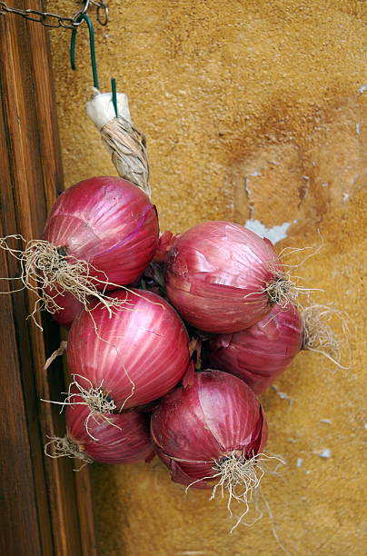 Red Onions on a hook stock photo