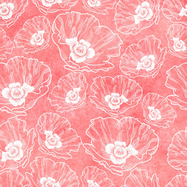 illustrations, cliparts, dessins anim�és et icônes de modèle de pavot vectorielle continue - encre dessin avec texture aquarelle - flower nature poppy red