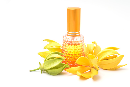 Ylang-Ylang oil with flowers ,aromatherapy essential oil