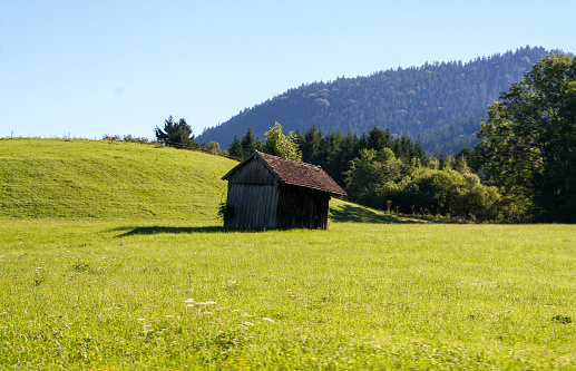 wooden barn in the black forest, Germany