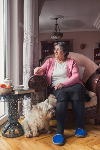 istock Senior Woman At Home 929743644