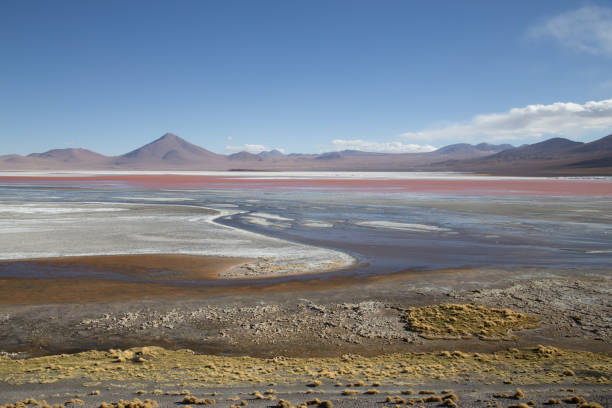 istock Laguna Colorada in Bolivia 929743666