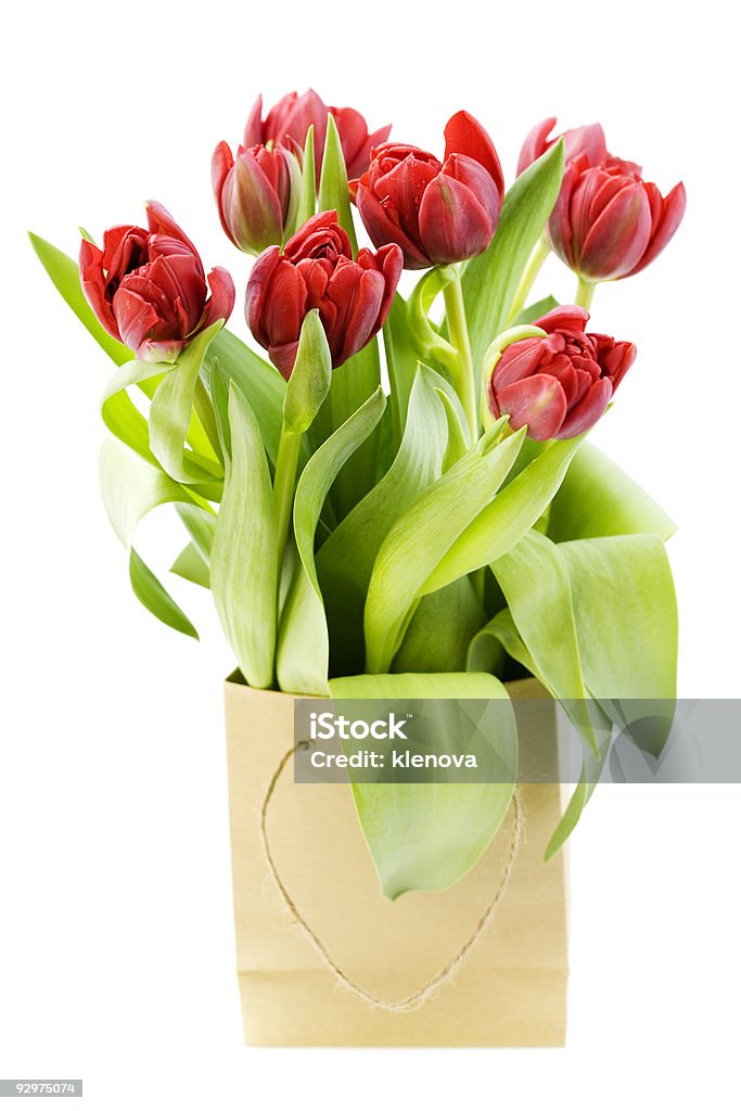 Frische Tulpen - Lizenzfrei Ausverkauf Stock-Foto