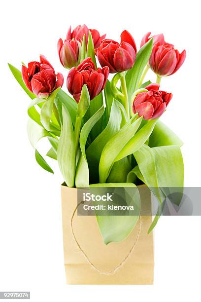 Frische Tulpen Stockfoto und mehr Bilder von Ausverkauf - Ausverkauf, Baumblüte, Blume