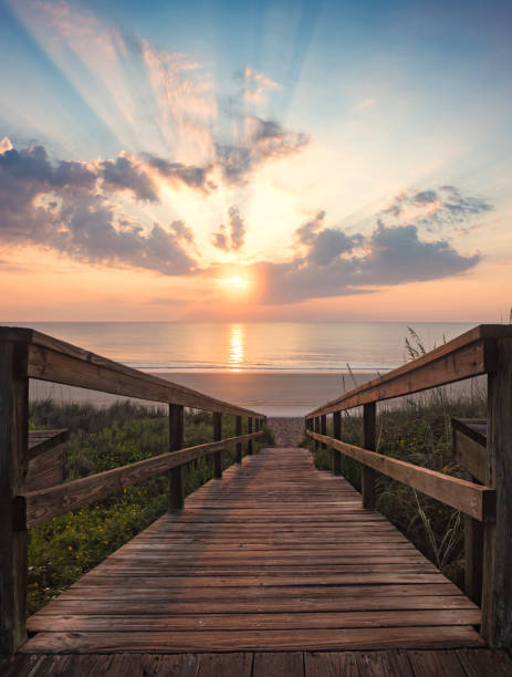 istock Vertical Walkway to the Beach Sunrise 929754202