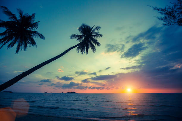 istock Palm trees silhouettes on tropical beach during sunset. 929755514