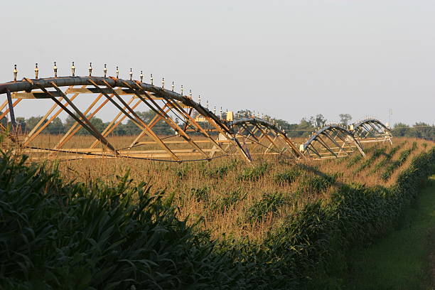 Irrigation system stock photo