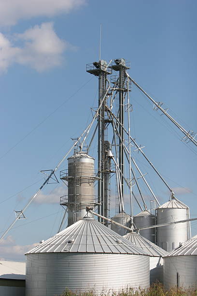 Grain processing stock photo