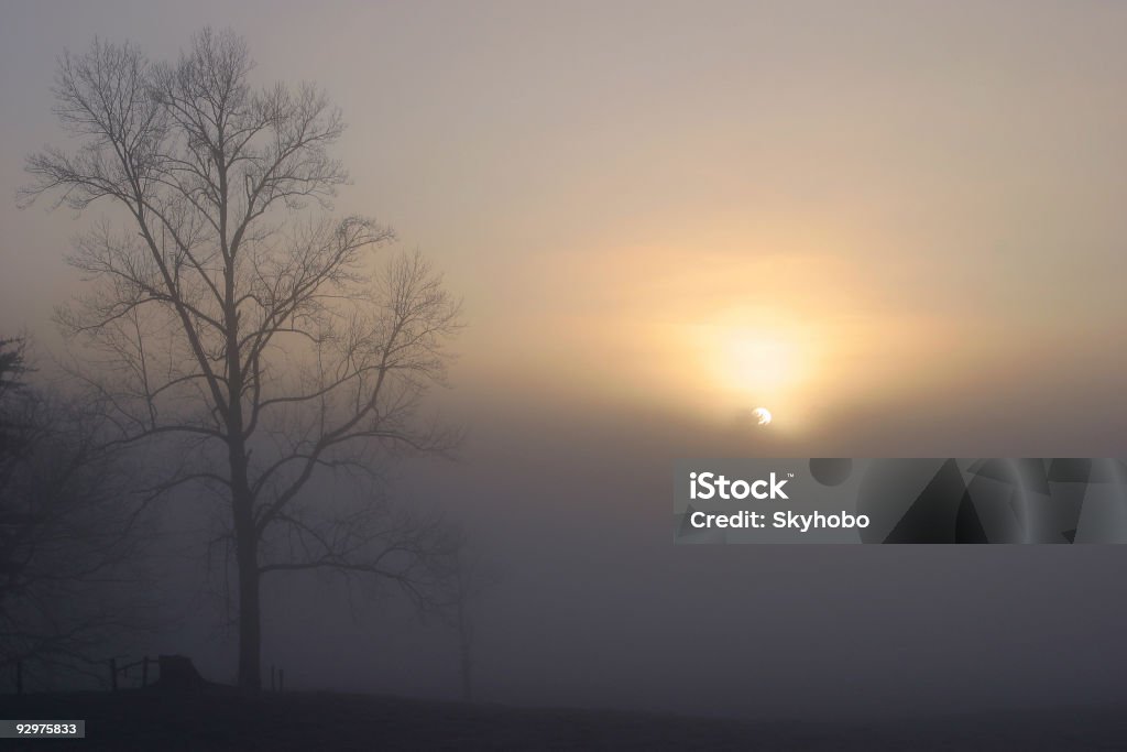 Foggy świtu - Zbiór zdjęć royalty-free (Cades Cove)