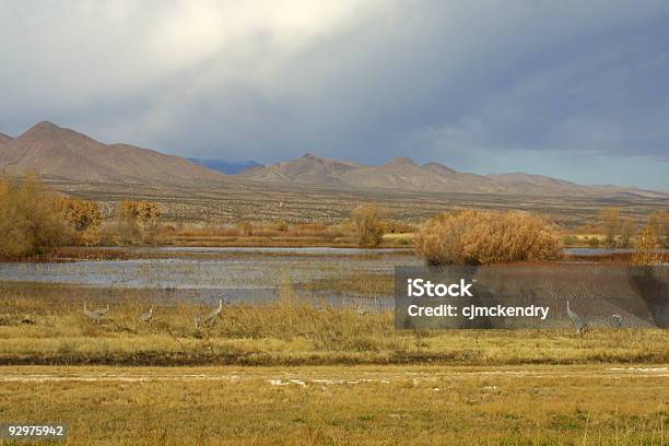 뉴 멕시코 풍경 0명에 대한 스톡 사진 및 기타 이미지 - 0명, 노랑, 뉴멕시코