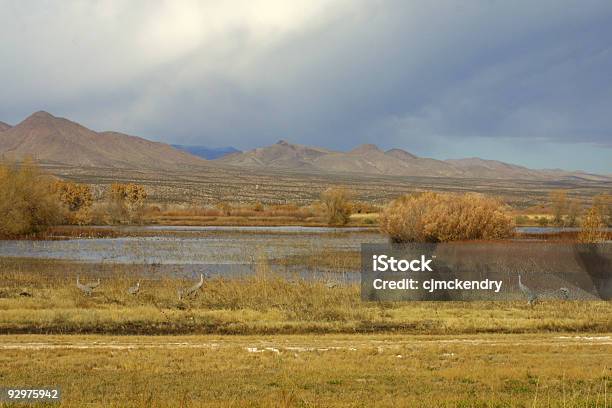 Novo México Na Paisagem - Fotografias de stock e mais imagens de Amarelo - Amarelo, Azul, Deserto