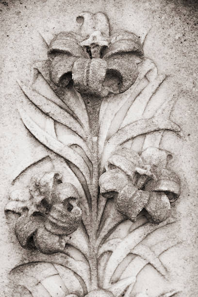 flor de pedra - etching tan stone textured imagens e fotografias de stock