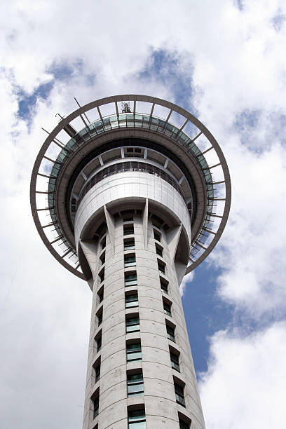 Auckland Skytower top  fern silver new zealand plant stock pictures, royalty-free photos & images