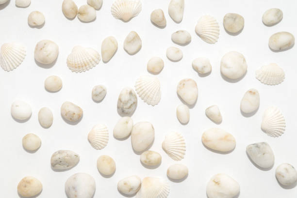 istock Marine decorative background of small pebbles 929768554