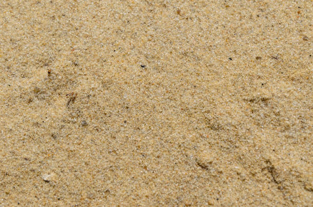 istock Background of the yellow sand 929769924