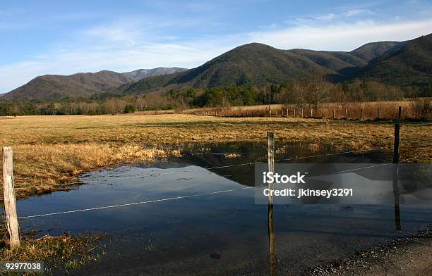 Wasserreflexionen Stockfoto und mehr Bilder von Appalachen-Region - Appalachen-Region, Berg, Cades Cove