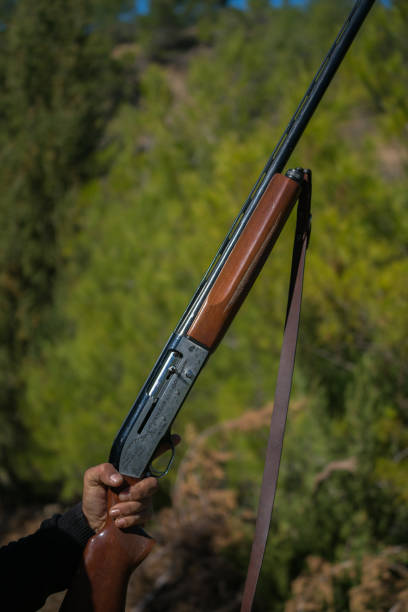 istock Male hunter in the woods 929772338