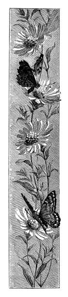 ilustraciones, imágenes clip art, dibujos animados e iconos de stock de mariposas pollinating flores - victorian style engraved image lepidoptera wildlife