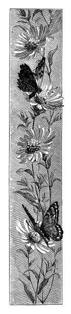 バタフライ pollinating 花 - victorian style engraved image lepidoptera wildlife点のイラスト素材／クリップアート素材／マンガ素材／アイコン素材