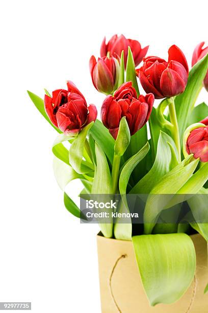 Fresh Tulips Stock Photo - Download Image Now - Bag, Blossom, Bouquet