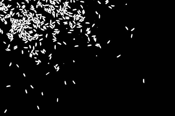 istock Background with grain of rice. Handmade illustration of rice organic texture background. Vector. 929781416