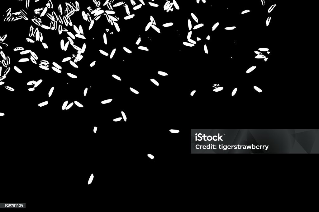 Burnt Rice Vector Grunge Rice Background Handmade Random Pattern Of Rice Explosion On The ...