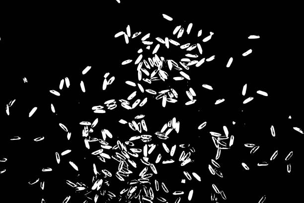 istock White rice on black background. Organic texture. Silhouette of rice flakes, spread on the flat surface or table. Top view. Vector. 929781442