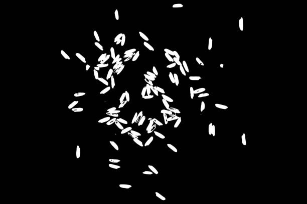 istock Jasmine rice, Brown rice and mixed rice on table top view. Silhouette of flakes, spread on the flat surface or table. Vector. 929781472