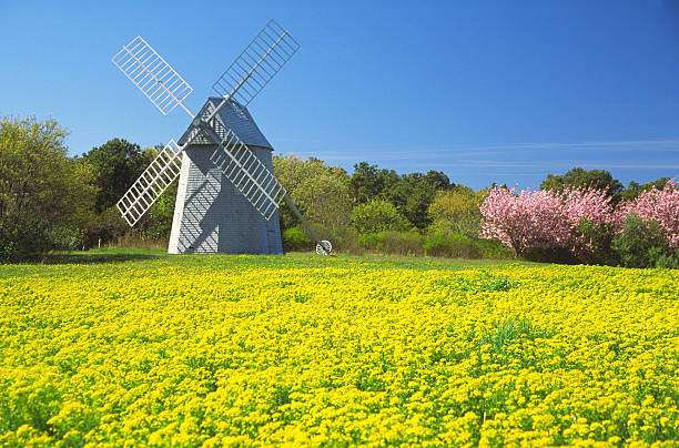 wiosna na cape cod - massachusetts landscape new england spring zdjęcia i obrazy z banku zdjęć