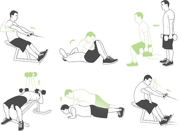 Sit Up Graph 30+ Sit Ups Diagram Stock Photos, Pictures & Royalty-Free Images - iStock