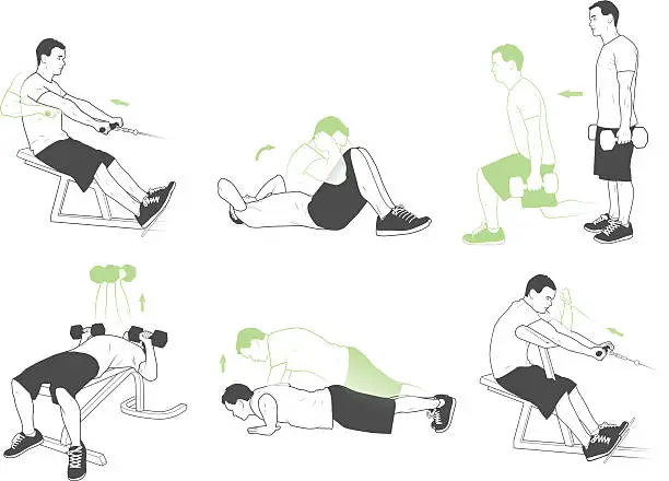 Vector illustration of Weightlifting and exercises