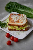 ein-leckeres-sandwich-mit-salat-und-huhn-mit-k%C3%A4se-bestreut-ein-schnelles-leckeres-fr%C3%BChst%C3%BCck.jpg?b=1&s=170x170&k=20&c=lVb29iwKr7GEAUsiFKMFPCDlCE7mxKt4Wn5RzKzCVpI=