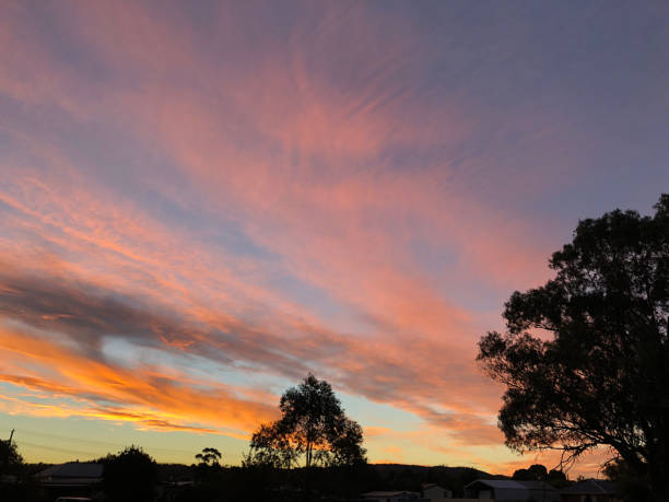 istock Sunset in rural countryside with gum trees 929798006