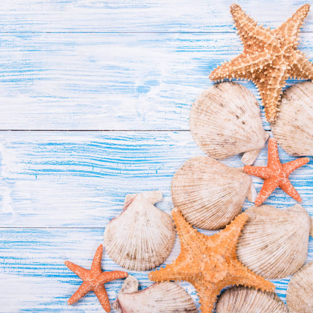 istock Starfishes and seashells on blue wooden background 929800390