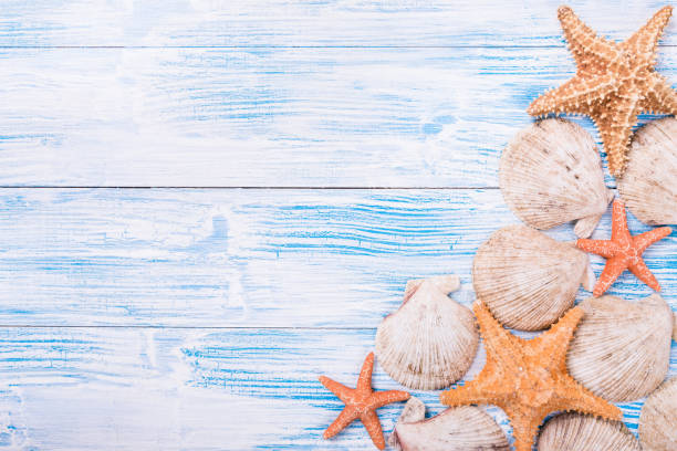 istock Starfishes and seashells on rustic wooden background 929800420