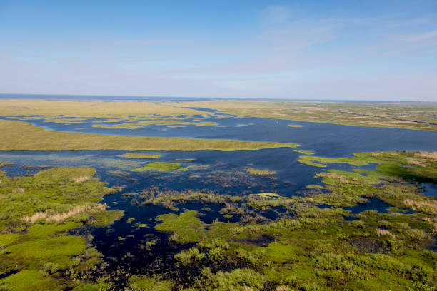 istock Aerial view of Lake Okeechobee Florida 929800538