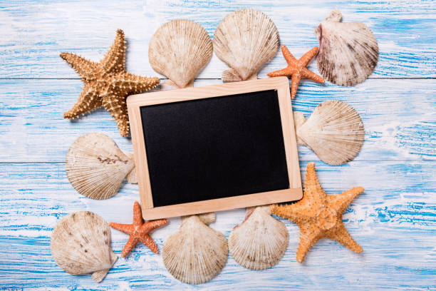istock Tropical chalkboard with seashells on blue wooden background 929803048