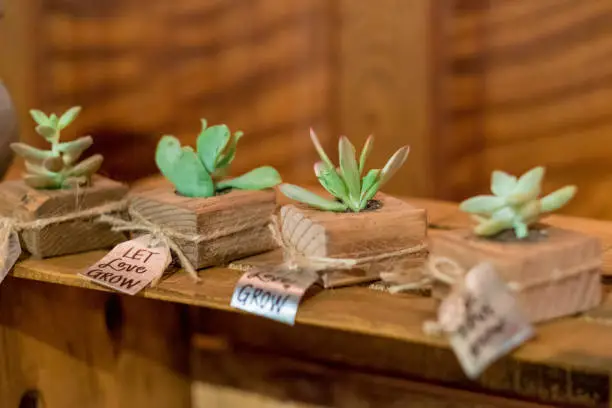 Succulent wedding gifts or favors at a reception in California with tags and signs that say let love grow.