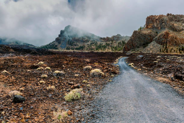Road on El Teide vulcan National Park,Tenerife,Spain