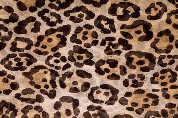 18,600+ Leopard Pattern Stock Photos, Pictures & Royalty-Free Images -  iStock