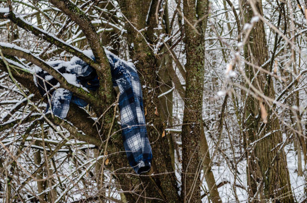 потерянная или забытая сине-белая клетчатая куртка на заснеженном дереве - misplaced стоковые фото и изображения
