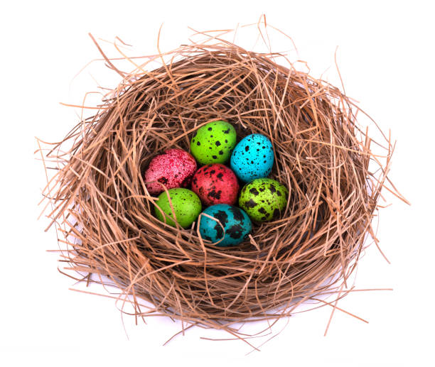 istock Easter eggs in nest painted, isolated on white background. Colored quail eggs 929826458