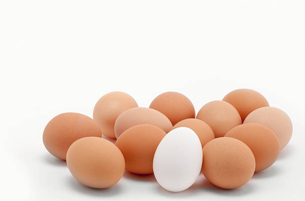 La diversidad con huevos - foto de stock