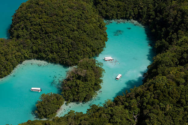 a via láctea in palau - micronesia lagoon palau aerial view imagens e fotografias de stock