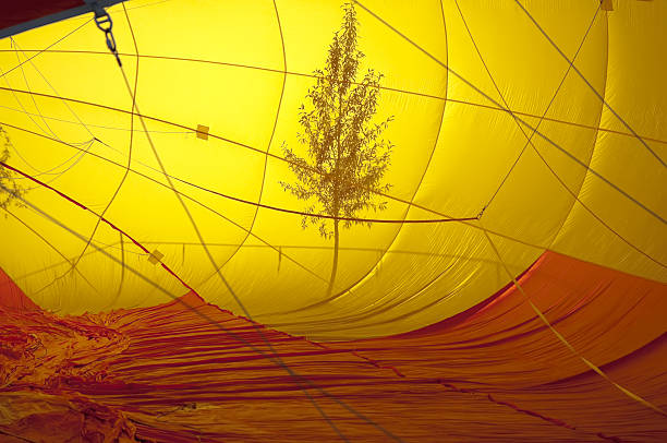 istock Hot air balloon with tree silhouette 92984361