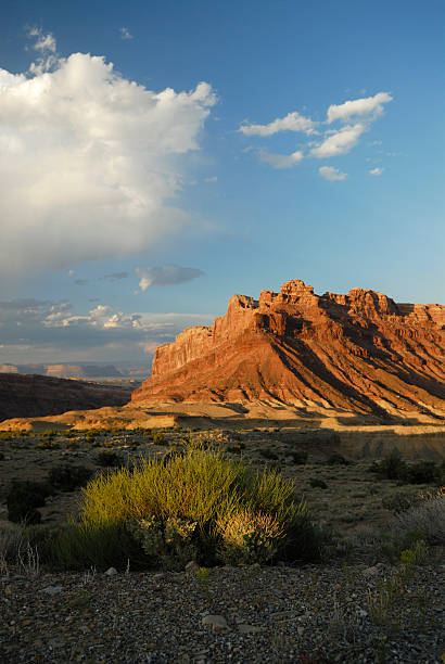 istock Desert landscape in southern Utah 92984659