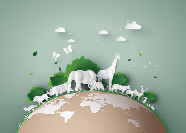 World Wildlife Day World Wildlife Day with the animal in forest , Paper art and digital craft style. cat origami stock illustrations