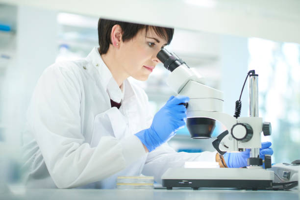 istock female scientist in a research lab 929855368