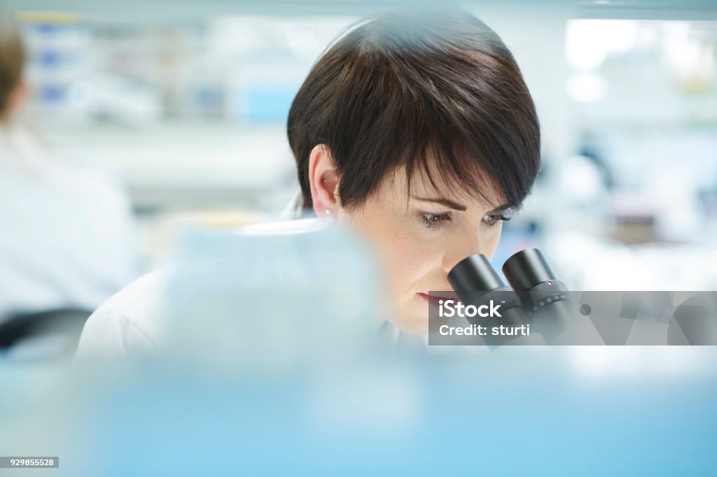 Wissenschaftlerin in einem belebten Forschungslabor - Lizenzfrei Labor Stock-Foto